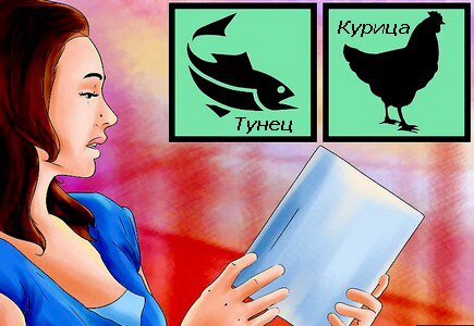 выбор корма по ингредиентам